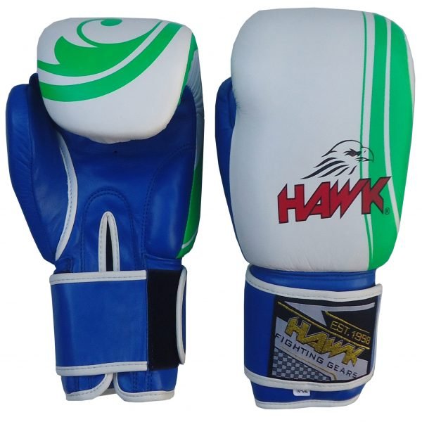 Hawk Inspire Boxing Gloves