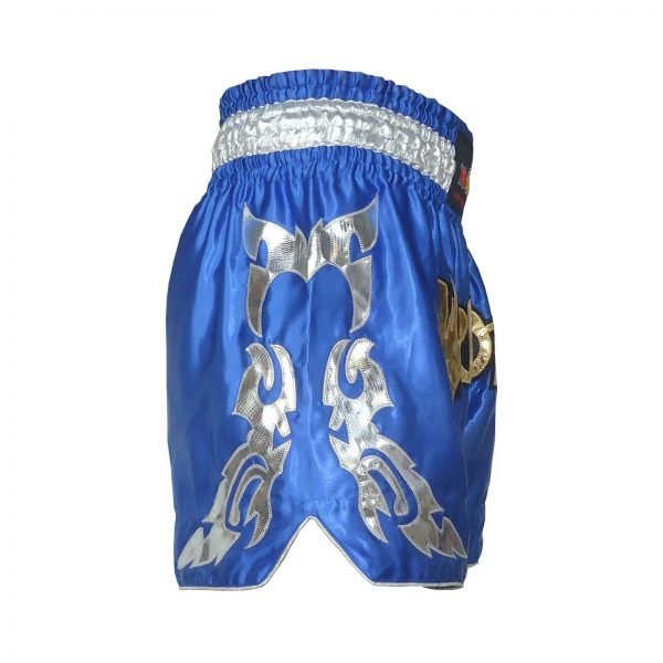 Neue Muay Thai Shorts, MMA Warriors Shorts, Marke Hawk - Image 3